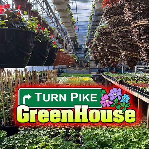 Turnpike-greenhouse-icon-512-flowers-houseplants-vegetables-progressive 